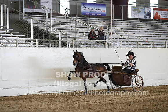 CA_Springfest19_SatPM_2449