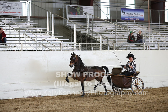 CA_Springfest19_SatPM_2450