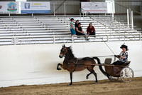 CA_Springfest19_SatPM_2451