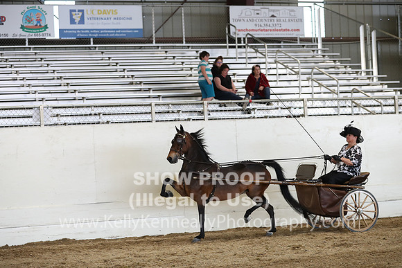 CA_Springfest19_SatPM_2451