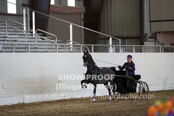 CA_Springfest19_SatPM_2453
