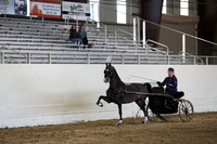 CA_Springfest19_SatPM_2454