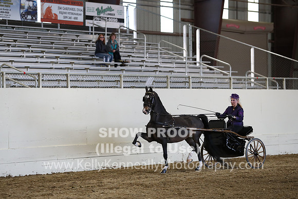 CA_Springfest19_SatPM_2454