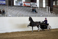 CA_Springfest19_SatPM_2455
