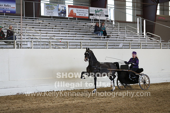 CA_Springfest19_SatPM_2455