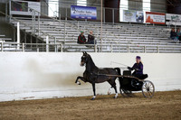 CA_Springfest19_SatPM_2456