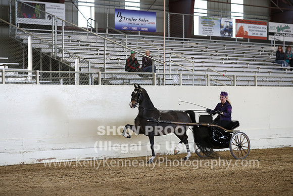 CA_Springfest19_SatPM_2456
