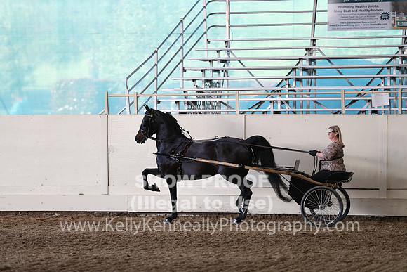CA_Springfest19_SatPM_2544