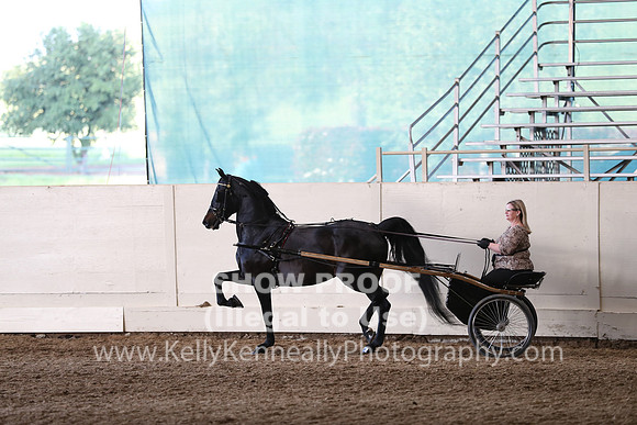 CA_Springfest19_SatPM_2545