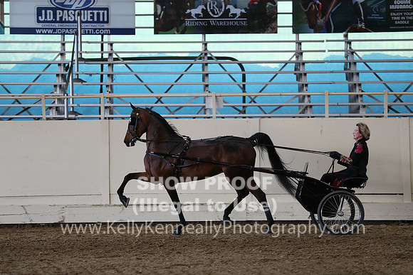 CA_Springfest19_SatPM_2546