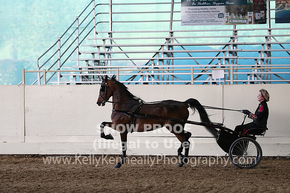 CA_Springfest19_SatPM_2548