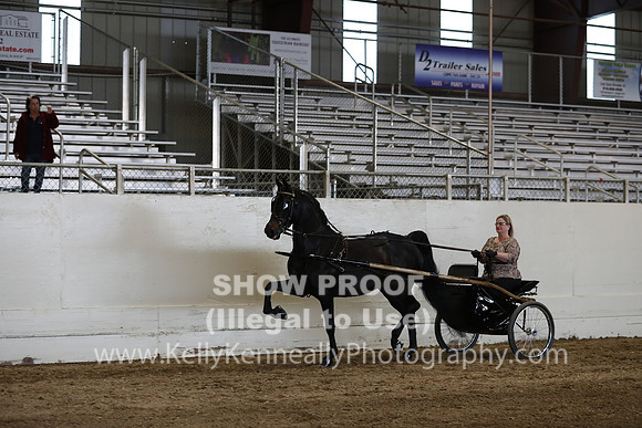 CA_Springfest19_SatPM_2550
