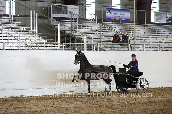CA_Springfest19_SatPM_2457