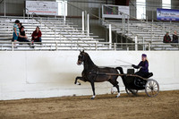 CA_Springfest19_SatPM_2458