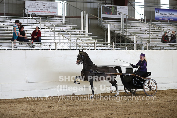 CA_Springfest19_SatPM_2458