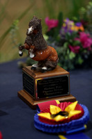 CA_Springfest19_SatPM_2463