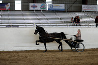 CA_Springfest19_SatPM_2552