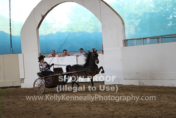 CA_Springfest19_SatPM_2469