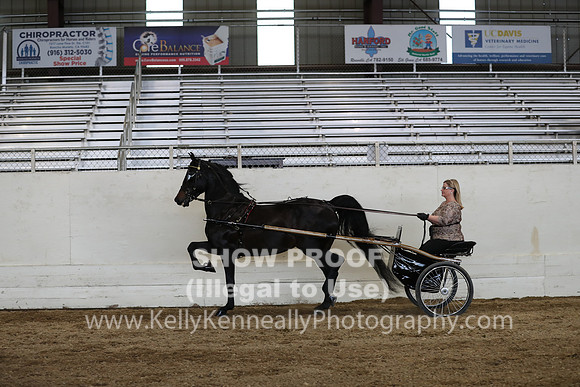 CA_Springfest19_SatPM_2553