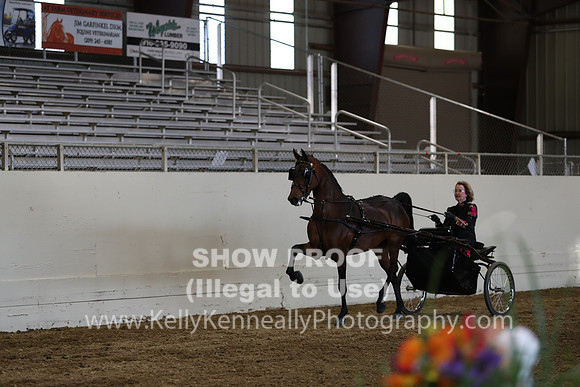 CA_Springfest19_SatPM_2554