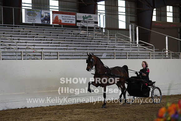 CA_Springfest19_SatPM_2555