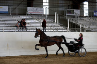 CA_Springfest19_SatPM_2557
