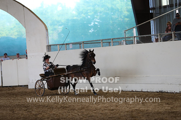 CA_Springfest19_SatPM_2470