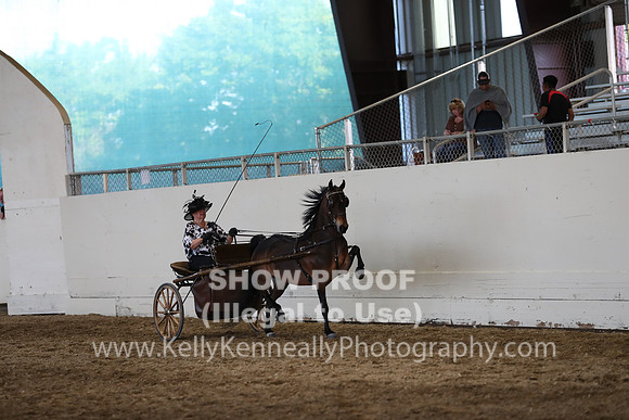 CA_Springfest19_SatPM_2471