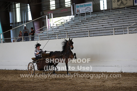 CA_Springfest19_SatPM_2473