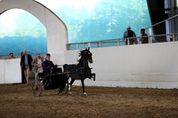 CA_Springfest19_SatPM_2475