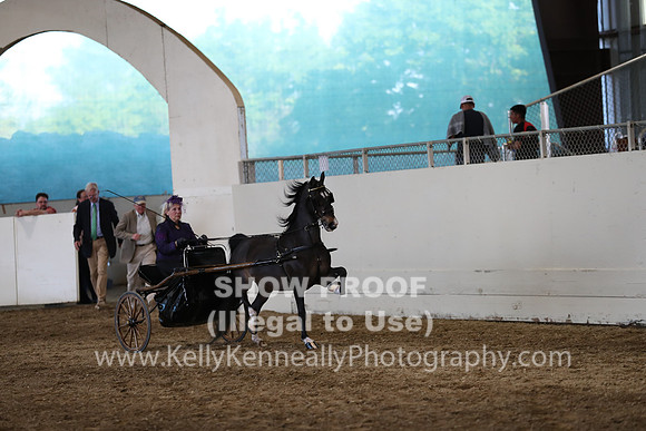 CA_Springfest19_SatPM_2475
