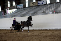 CA_Springfest19_SatPM_2479