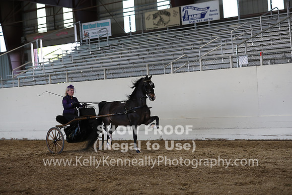 CA_Springfest19_SatPM_2479