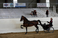 CA_Springfest19_SatPM_2558