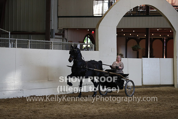 CA_Springfest19_SatPM_2561
