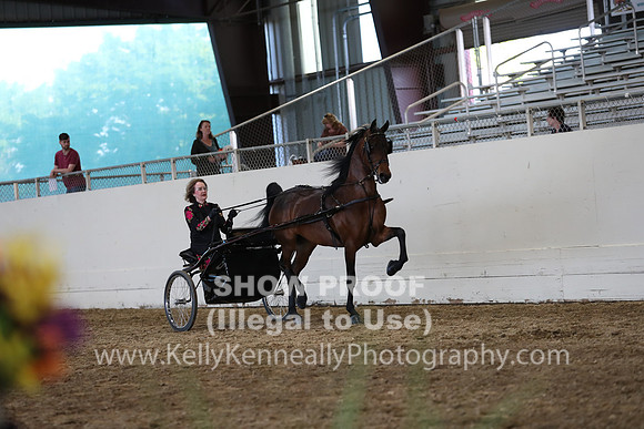 CA_Springfest19_SatPM_2566
