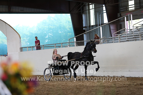 CA_Springfest19_SatPM_2570
