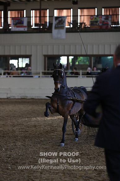 CA_Springfest19_SatPM_2496