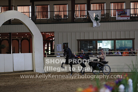 CA_Springfest19_SatPM_2576