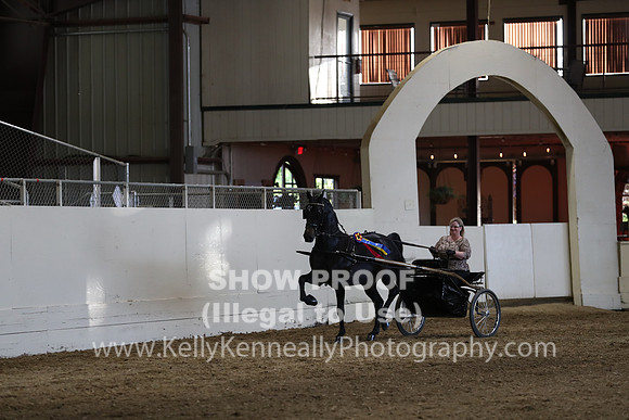 CA_Springfest19_SatPM_2579