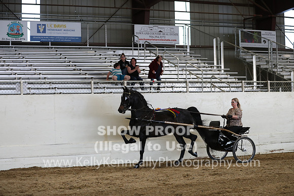 CA_Springfest19_SatPM_2587