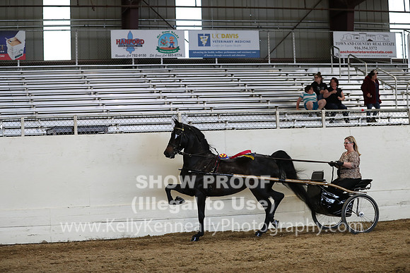 CA_Springfest19_SatPM_2588