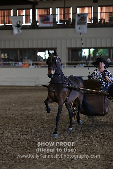 CA_Springfest19_SatPM_2497