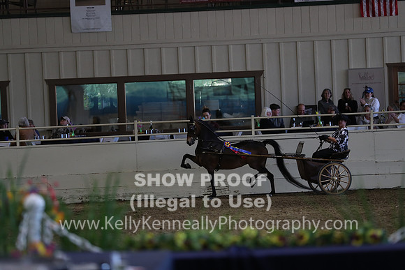 CA_Springfest19_SatPM_2504