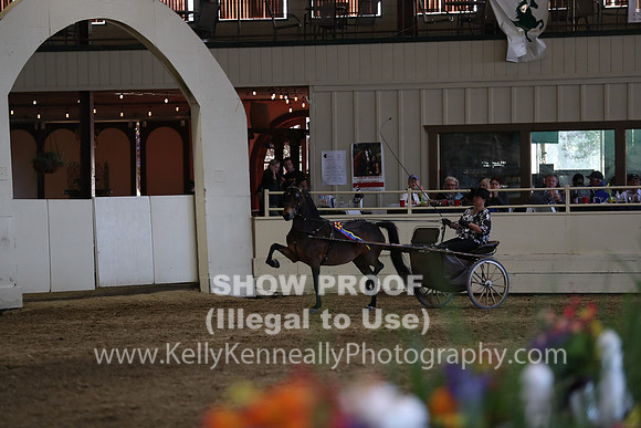 CA_Springfest19_SatPM_2510