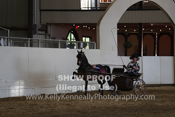 CA_Springfest19_SatPM_2513