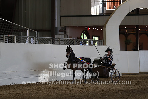 CA_Springfest19_SatPM_2516