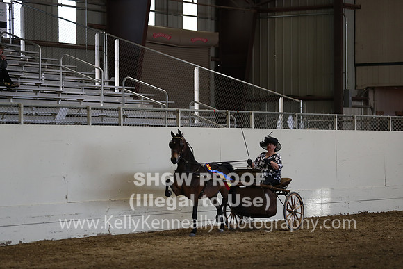 CA_Springfest19_SatPM_2520