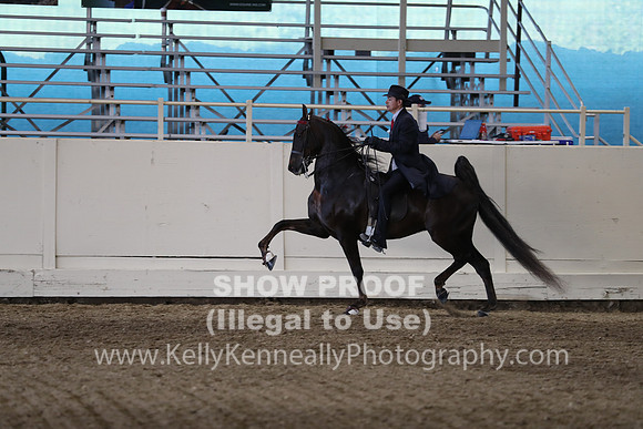 CA_Springfest19_SatPM_2654