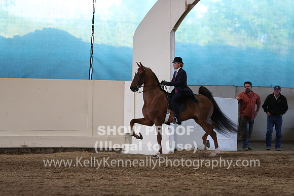 CA_Springfest19_SatPM_2666